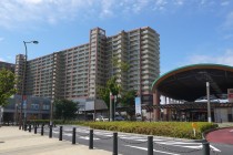 コミュニティビルダーコラム～茨城県の分譲公募について～