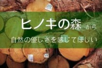 国産材の未来について　最近のニュースより