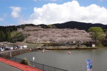 三股町で工務店を探している方へ