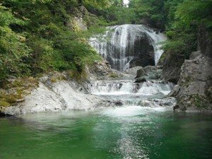 山形県東根市1