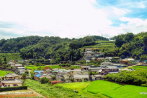 函南町で工務店を探している方へ