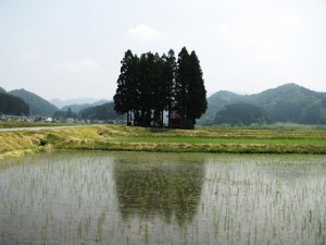 山形県金山町1