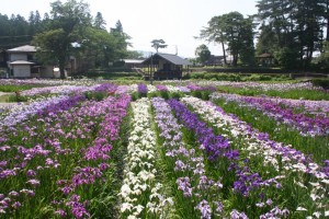 山形県長井市2