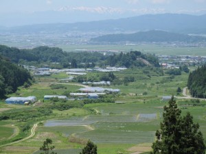 山形県村山市1