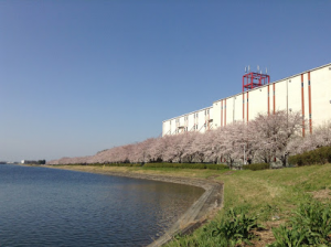 埼玉県幸手市1