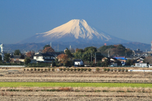 埼玉県富士見市1