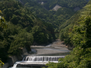 野迫川村1