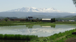 北海道当麻町1