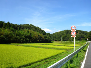 埼玉県鳩山町1