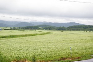 幌加内町2