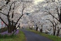 雲南市で工務店をお探しの方へ