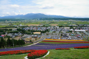 中富良野町1