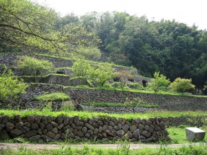 大田市1