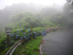 宮城県山元町2