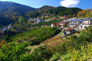 埼玉県東秩父村1