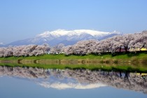 大河原町で工務店をお探しの方へ