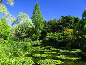 北川村2