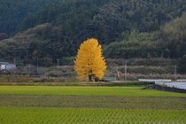 日高村で工務店をお探しの方へ