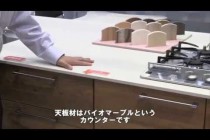 人工大理石 バイオマーブルカウンター 日本デコラックス